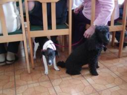 Resize of P4080112.JPG